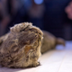 Foto: The Siberian Times